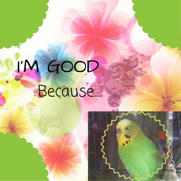 I'm Good Because...